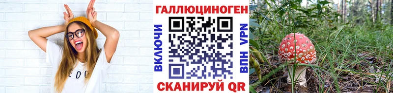 Купить где  Осташков  Галлюциногенные грибы Magic Shrooms 